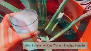 Delababi aloe water alkalinize your body naturally read pictures for benefits xxx onlyfans porn video