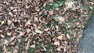 Kiaraskye new 7 min full vid of me stepping on leaves in my sneakers at the park from my pov a xxx onlyfans porn video