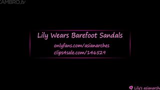 Lily's AsianArches Wears Barefoot Sandals
