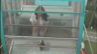 Masterdav - WEBCAM - japanese girl nudity masturbation in Ferris wheel