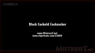 Mistresst w/ black cuckold raceplay cambro xxx