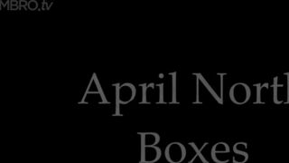 Annabelle Rogers April North Boxes 4K