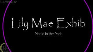LME Picnic in the Park