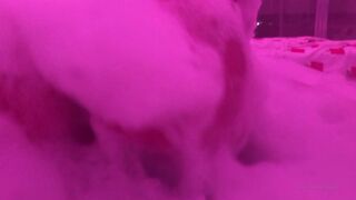 Brandiloveee sucking in jacuzzi titsjob cum in mouth and a lot of foam xxx onlyfans porn videos