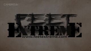 Feetextreme - Rosies Socks Tea