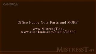 Office Puppy Gets Farts and MORE!